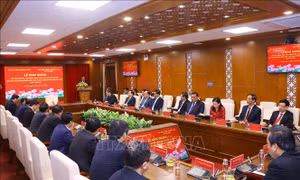 Bồi dưỡng, cập nhật kiến thức đối với Phó Bí thư, Chủ tịch HĐND, UBND cấp tỉnh