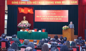 Hội nghị Tổng kết công tác đối ngoại nhân dân năm 2024, triển khai nhiệm vụ năm 2025