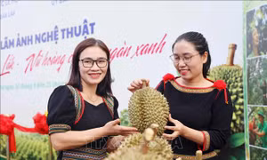 120 tác phẩm góp sức quảng bá thương hiệu sầu riêng Đắk Lắk