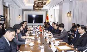 Chủ tịch Quốc hội Trần Thanh Mẫn tiếp lãnh đạo một số tập đoàn lớn của Hàn Quốc