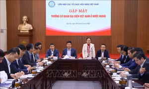 Phối hợp thúc đẩy hơn nữa công tác đối ngoại nhân dân