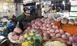 Tăng cường kiểm tra, đảm bảo an toàn thực phẩm sau vụ giá đỗ ngâm chất cấm