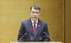 Phân công công tác của Thủ tướng Chính phủ và các Phó Thủ tướng Chính phủ