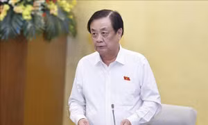 Quy định chi tiết tiêu chí khoanh định khu vực không đấu giá quyền khai thác khoáng sản