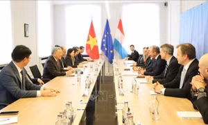 Việt Nam, Luxembourg thúc đẩy hợp tác xây dựng Trung tâm Tài chính quốc tế