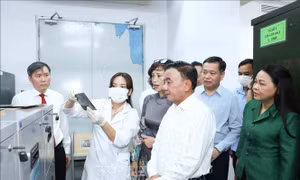 Nâng tầm chất lượng nghiên cứu và năng lực tư vấn chính sách