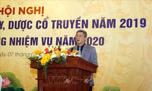 Thành lập Hội đồng cấp Nhà nước xét tặng danh hiệu 'Thầy thuốc Nhân dân', 'Thầy thuốc Ưu tú' 