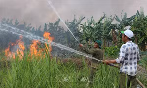 Kiểm tra phòng, chữa cháy rừng khu bảo tồn thiên nhiên Lung Ngọc Hoàng