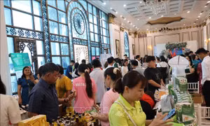 Ngày hội kết nối giao thương Hải Dương thu hút 500 doanh nghiệp