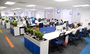 Quy định mới về nhiệm vụ, cơ cấu tổ chức của bộ, cơ quan ngang bộ áp dụng từ 20/11/2025