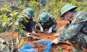 Thêm 3 hài cốt liệt sĩ được tìm thấy tại Hướng Lập, Quảng Trị