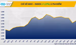 Lực mua áp đảo trên thị trường hàng hóa, chỉ số MXV-Index tăng 1,4%