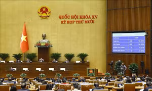 Kế hoạch triển khai thi hành Luật Thi hành án hình sự năm 2025