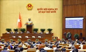 Hướng dẫn thi hành Luật Hoạt động giám sát của Quốc hội và Hội đồng nhân dân