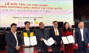 Cộng đồng người Bắc Ninh tại Hàn Quốc hướng về công cuộc đổi mới đất nước