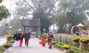 'Tết làng Việt' 2024 tại Làng cổ Đường Lâm