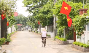 Sửa Bộ tiêu chí quốc gia về xã nông thôn mới