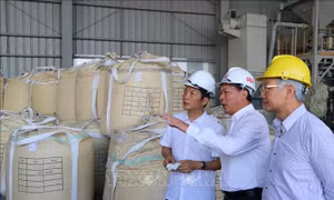 Đánh giá tiến độ triển khai dự án bô xít tại Đắk Nông