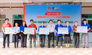 Thanh niên Thành phố Hồ Chí Minh chung tay xây dựng nông thôn mới
