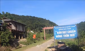 Sức sống mới nơi vùng cao biên giới xứ Thanh