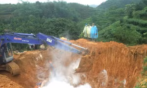 Yên Bái khuyến cáo người chăn nuôi không nên tái đàn lợn 