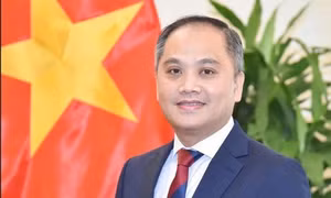 Quan hệ Việt Nam - New Zealand đứng trước nhiều cơ hội phát triển mới
