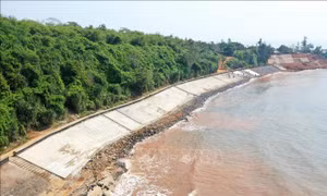 Bảo vệ Di tích Quốc gia đặc biệt Địa đạo Vịnh Mốc ngăn biển xâm thực
