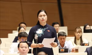 Bên lề Quốc hội: Quan tâm đầu tư hơn nữa cho y tế cơ sở, y tế dự phòng