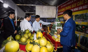Cam Hà Giang và Cao Phong lên sàn thương mại điện tử
