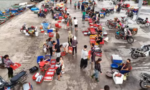 Nhịp sống sôi động tại cảng cá Cửa Nhượng