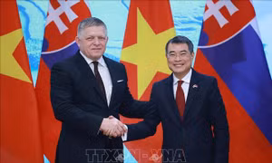 Tuyên bố chung về việc thiết lập quan hệ Đối tác chiến lược giữa Việt Nam và Slovakia