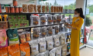Hiệu quả từ chương trình OCOP