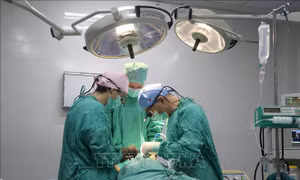 Huế: Phẫu thuật miễn phí cho trẻ bị dị tật hở môi, vòm miệng hoàn cảnh khó khăn