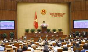 Quốc hội thông qua Luật Sở hữu trí tuệ - Công cụ nâng cao hiệu quả quản lý nhà nước, thúc đẩy phát triển kinh tế-văn hóa-xã hội đất nước