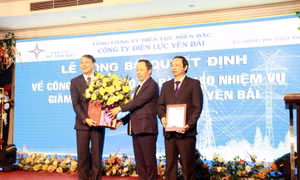 Công ty Điện lực Yên Bái có giám đốc mới