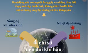4 chỉ số biến đổi khí hậu lập kỷ lục mới vào năm 2021