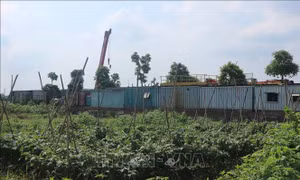 Khắc phục vi phạm trên đất nông nghiệp tại huyện Hoài Đức, Hà Nội