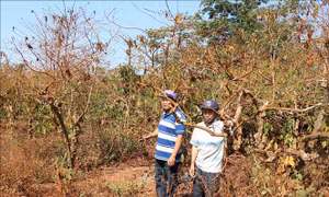 Khẩn trương xây dựng phương án bồi thường cho các hộ dân ở huyện Chư Sê bị thu hồi đất