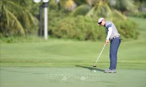Khởi tranh Giải Vô địch Golf Quốc gia 2024