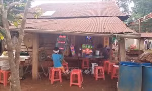 Bị chó dại cắn nhưng không tiêm ngừa, một bệnh nhân tử vong