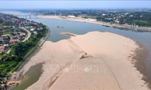 Sông Đà cạn nước kỷ lục