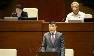 Kỳ họp thứ 9, Quốc hội khóa XIV: Đa số đại biểu ủng hộ bổ sung vốn điều lệ cho Agribank