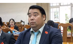 Ông Nguyễn Viết Dũng xin rút khỏi thành viên Ban Kinh tế và Ngân sách HĐND tỉnh Quảng Nam