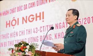 Huy động sự ủng hộ quốc tế đối với nạn nhân chất độc da cam