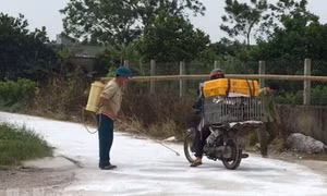 Hà Nam xuất hiện ổ dịch tai xanh trên đàn lợn