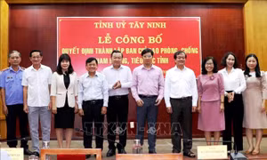 Công bố thành lập Ban Chỉ đạo phòng, chống tham nhũng, tiêu cực tỉnh Tây Ninh