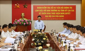 Kiểm tra việc triển khai thực hiện Nghị quyết Đại hội XIII của Đảng tại tỉnh Lào Cai
