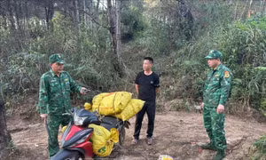 Bắt đối tượng vận chuyển trái phép thực phẩm nhập lậu