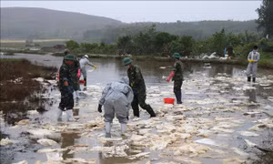 Sự cố tràn dầu ở Quảng Ngãi: khẩn trương khoanh vùng, ngăn chặn để dầu không lan rộng
