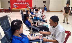 Quảng Trị: Lan tỏa nghĩa cử nhân ái, tiếp nhận hơn 660 đơn vị máu 